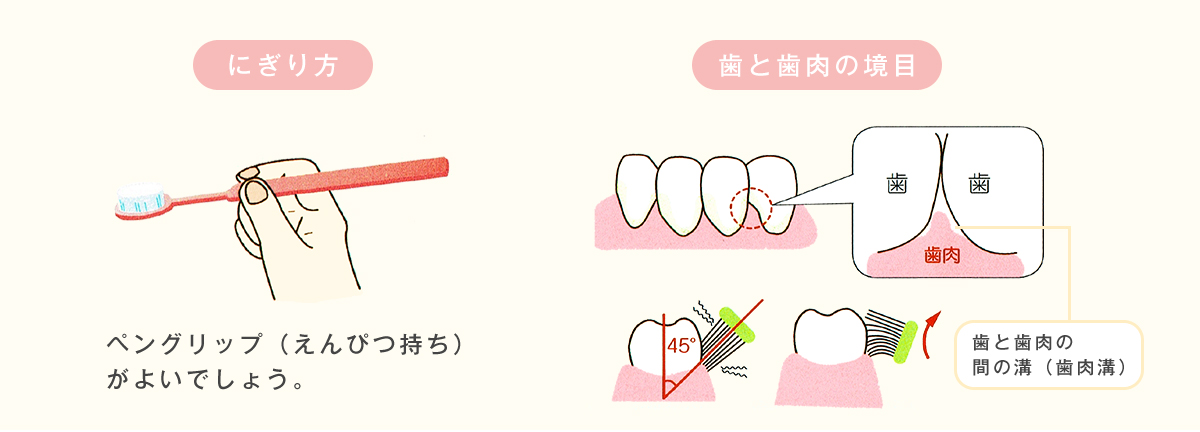 ブラッシングのポイント